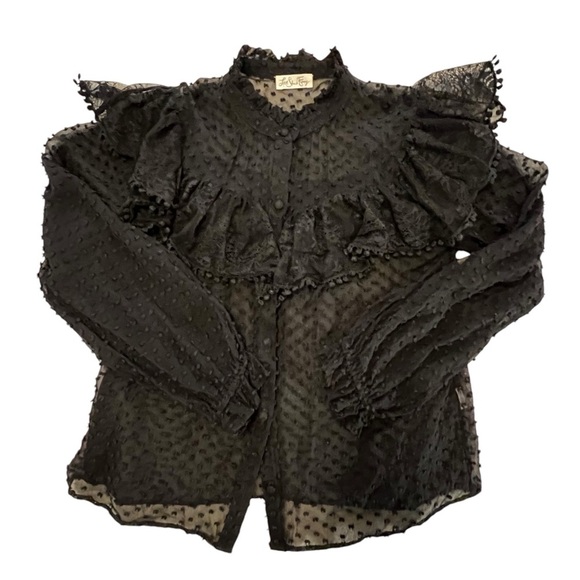 LoveShackFancy Erica SWISS DOT HIGH NECK LACE BLOUSE Ruffled Button Front Sheer - Picture 7 of 16